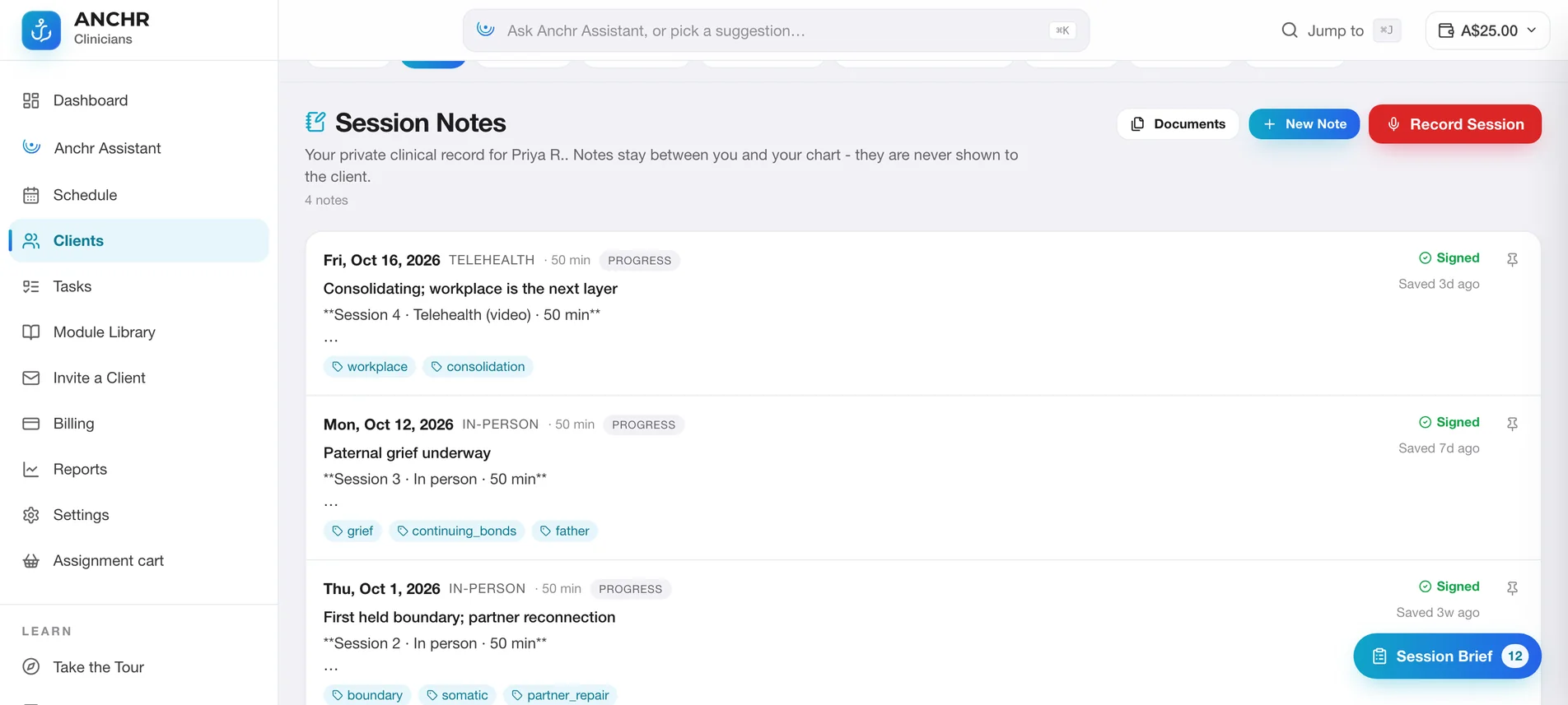 Session notes captured by AI transcription, dictation or a photo of handwritten notes